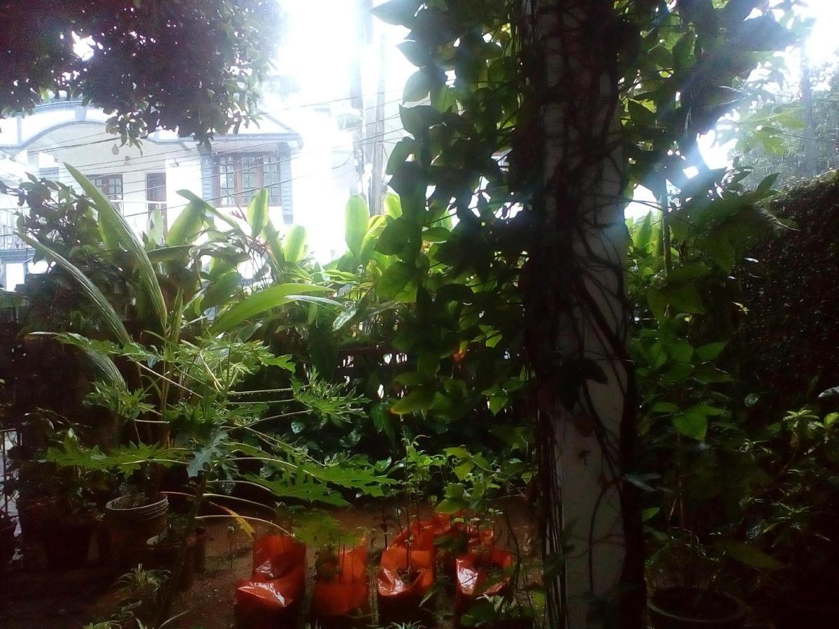 Nathans Holiday Home Kochi Ngoại thất bức ảnh